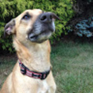 Meet your Posher, Lee